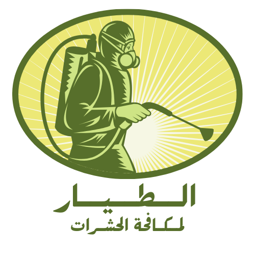 الطيار